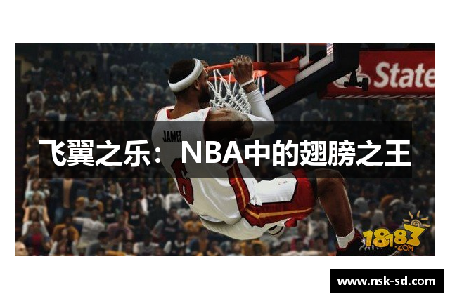 飞翼之乐：NBA中的翅膀之王