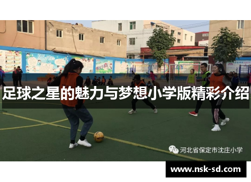 足球之星的魅力与梦想小学版精彩介绍